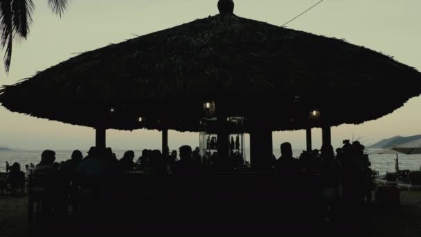 Bar sulla spiaggia con tetto di paglia — Video Stock