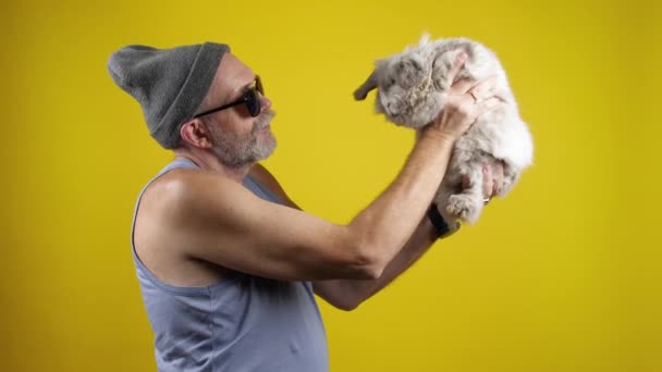 Hipster mayor barbudo hombre en gafas de sol hablando con un conejito de mascotas . — Vídeos de Stock