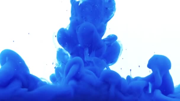 Fuite de peinture bleue . — Video