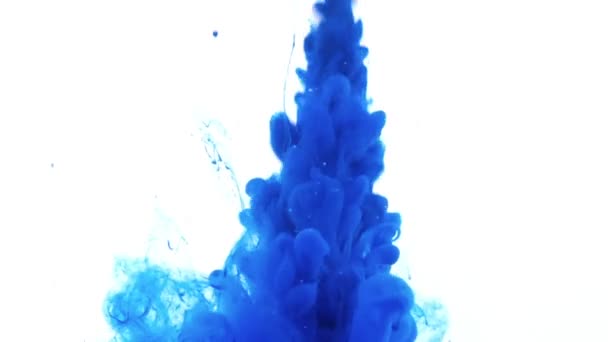 Aquarelle bleue fluide abstraite — Video