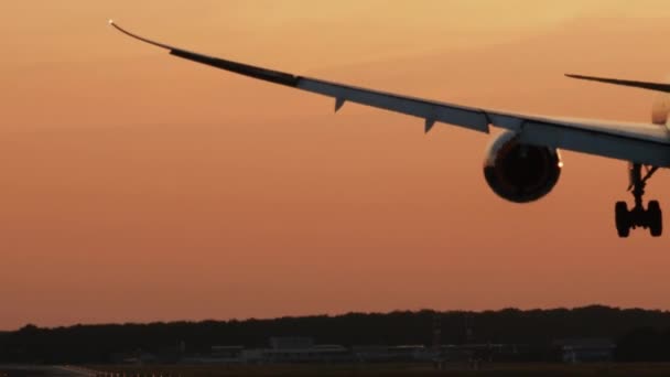 Літак приземляється на злітно-посадкову смугу під час заходу сонця. Вид ззаду — стокове відео
