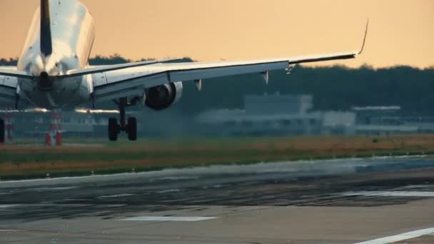 Jet landet bei Sonnenuntergang auf der Landebahn. Rückseite — Stockvideo