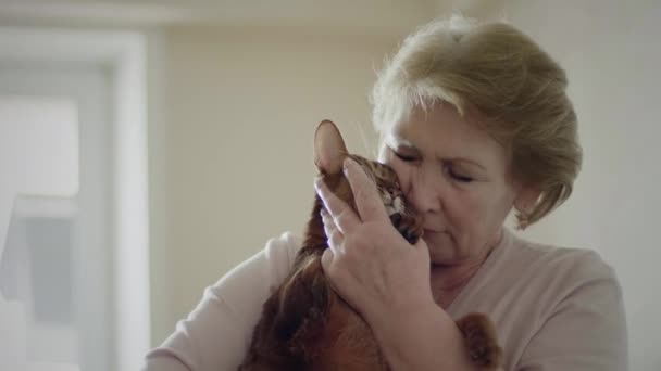 Пожилая женщина со своим котом — стоковое видео