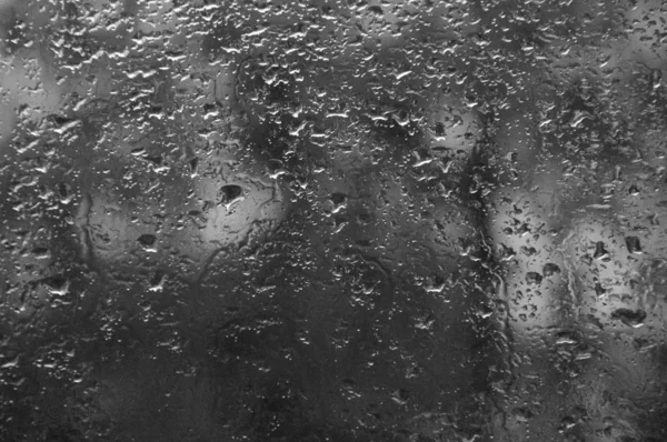 Rain drops on the window with forest background