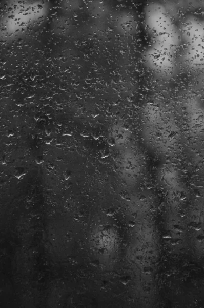 Rain drops on the window with forest background