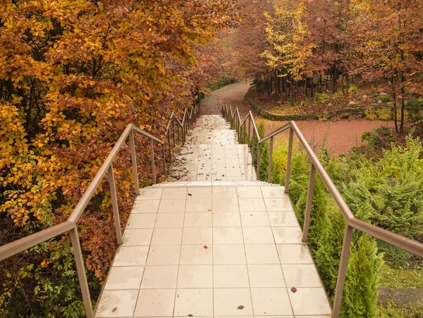 Escalera en el parque de otoño . — Foto de Stock