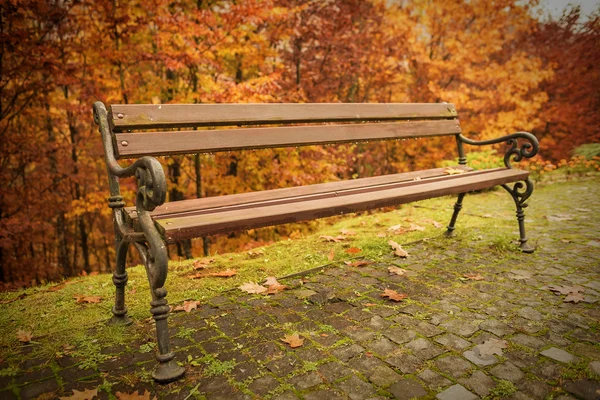 Banco de madera en el parque en otoño . — Foto de Stock