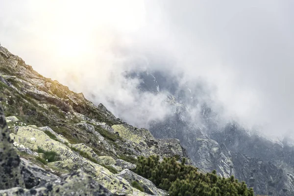 Horská krajina na zamračený den s dešťové mraky. Tatra Mountains. — Stock fotografie