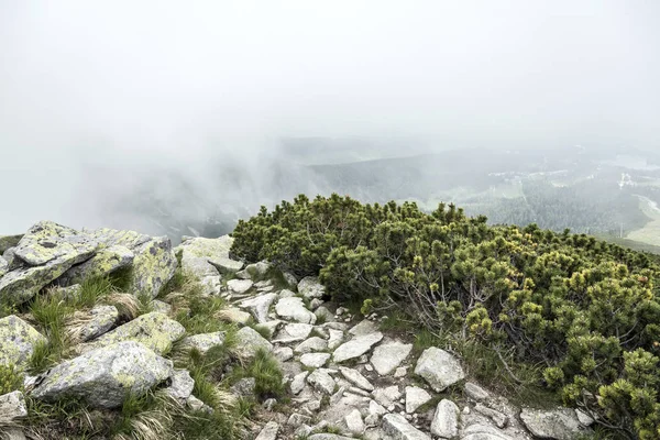 Dağ iz. Tatra Dağları.