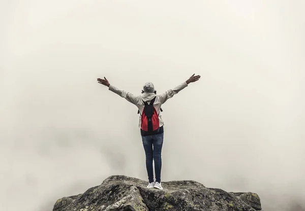 Tourist on the top of a mountain peak. Freedom - the concept. — Stock Photo, Image