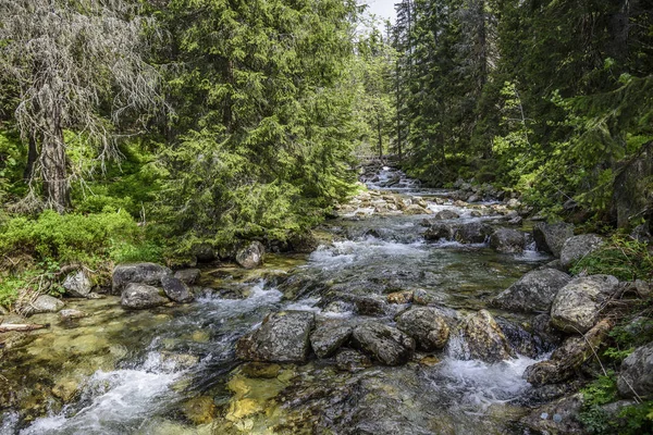 Snelle berg rivier. — Stockfoto