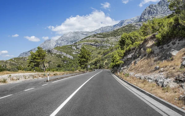 Güneşli bir günde asfalt yol.