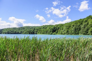 milli park plitvice gölleri. Hırvatistan.