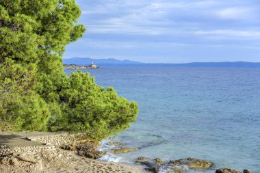 Güzel çam ağaçları ve akşamları mavi denizin kıyıları. Hırvatistan.