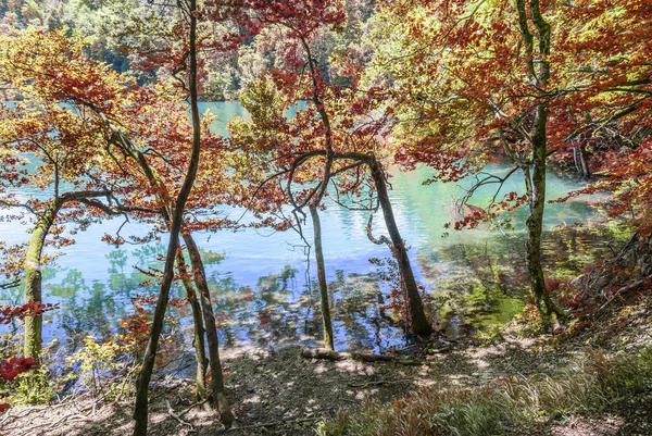 Национальный парк Плитвицкие озера. Хорватия . — стоковое фото