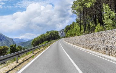 Güneşli bir günde asfalt karayolu.