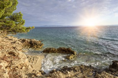 Güzel çam ağaçları ve akşamları mavi denizin kıyıları. Hırvatistan.