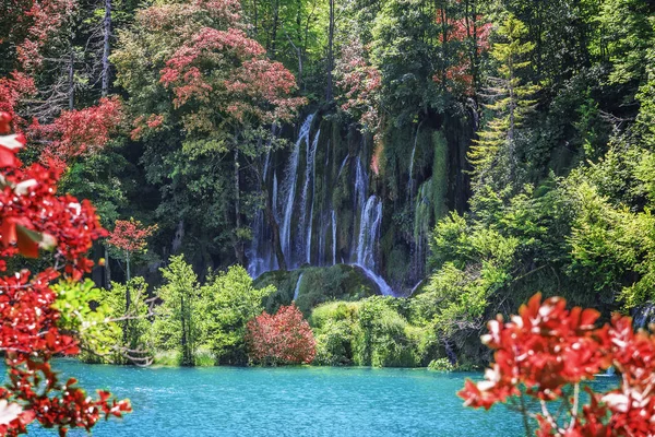 Cascada en el Parque Nacional de los Lagos Plitvice. Croacia . —  Fotos de Stock