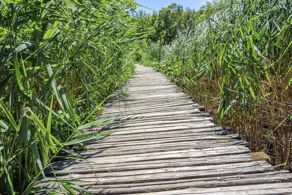 Pasarelas de madera por los lagos . — Foto de Stock