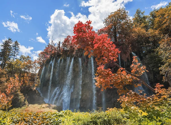 Waterfall in autumn forest at National Park Plitvice Lakes. — Stock Photo, Image