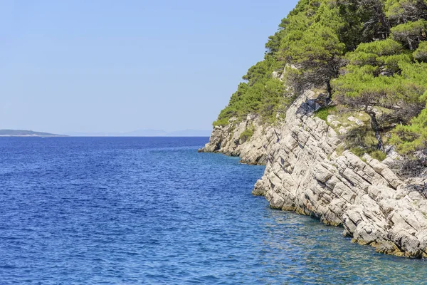 Pine on the shore of the blue sea. Image in autumn colors. Croatia. — Stock Photo, Image