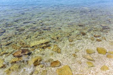 Sahildeki deniz dalgaları.