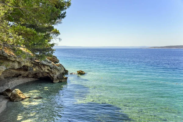 Beautiful pine trees and the shore of the blue sea. Croatia. — Stock Photo, Image