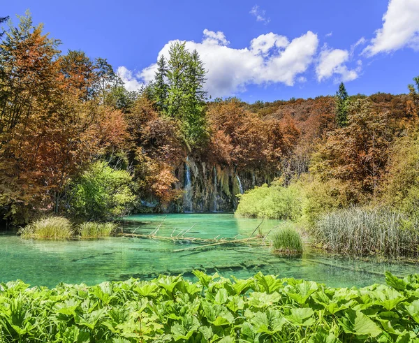 Cachoeira na floresta de outono no Parque Nacional Plitvice Lagos . — Fotografia de Stock