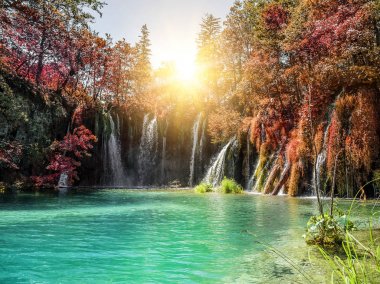 Milli Park Plitvice Gölleri, sonbahar orman şelale.