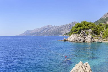 Karadeniz kıyısında kayalık sahil ile. Hırvatistan.