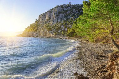 Güzel çam ağaçları ve akşamları mavi denizin kıyıları. Hırvatistan.