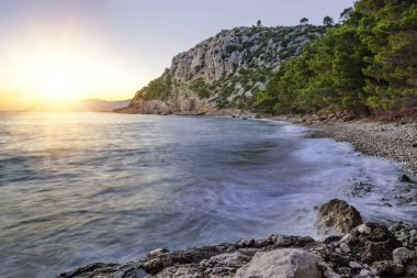 Güzel çam ağaçları ve akşamları mavi denizin kıyıları. Hırvatistan.
