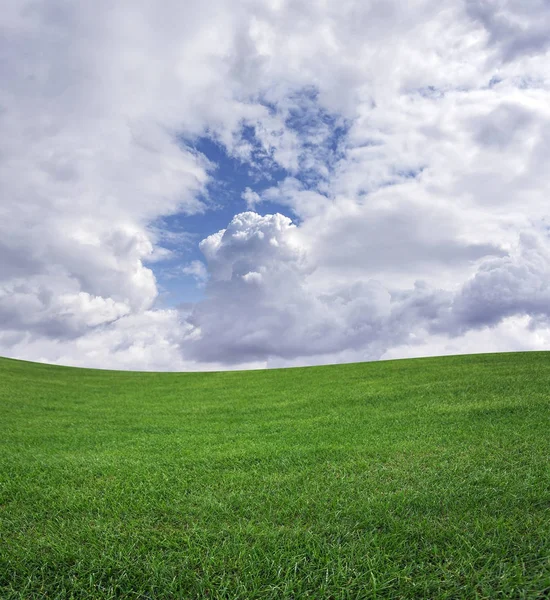 Grünes Grasfeld und blauer Himmel. — Stockfoto