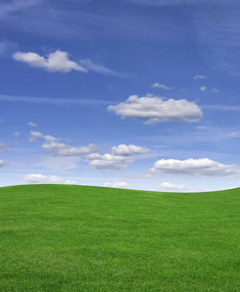 Grünes Grasfeld und blauer Himmel. — Stockfoto