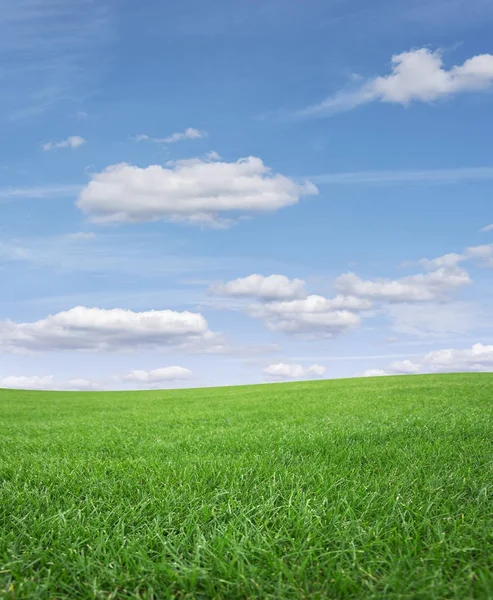 Groen grasveld en blauwe lucht. — Stockfoto