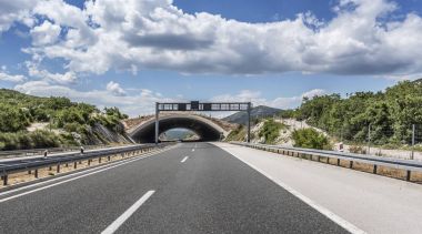 Köprü için bir otoyol üzerinde hayvan.