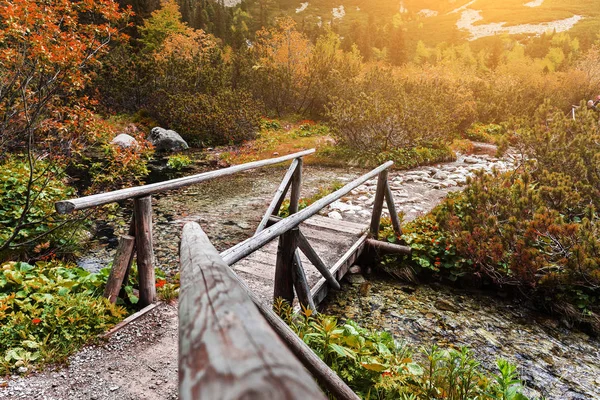 Деревянный пешеходный мост через реку в горном лесу, Высокие Татры . — стоковое фото