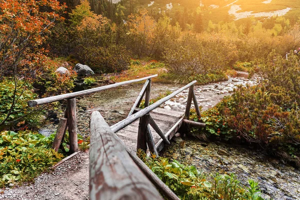 Pasarela de madera a través del arroyo en el bosque de montaña, High Tatras . — Foto de Stock