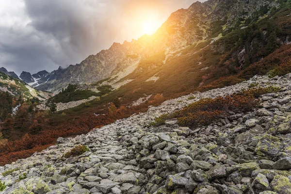 Lesní podzimní krajina v horách. Vysoké Tatry. — Stock fotografie