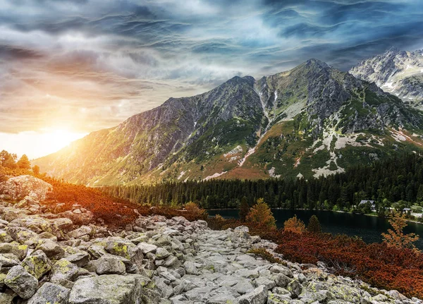 Bergslandskapet på bakgrunden av sjön. Höga Tatrabergen. — Stockfoto