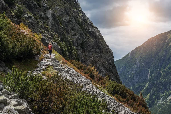 Lesní podzimní krajina v horách. Vysoké Tatry. — Stock fotografie