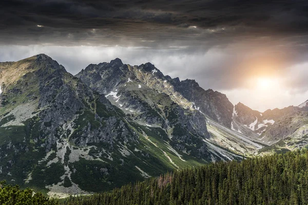 Forest höstlandskap i bergen. Höga Tatrabergen. — Stockfoto