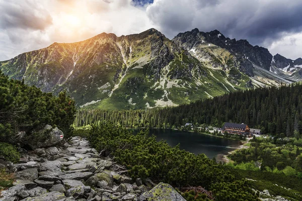 Orman sonbahar manzara dağlarda. Yüksek Tatras. — Stok fotoğraf
