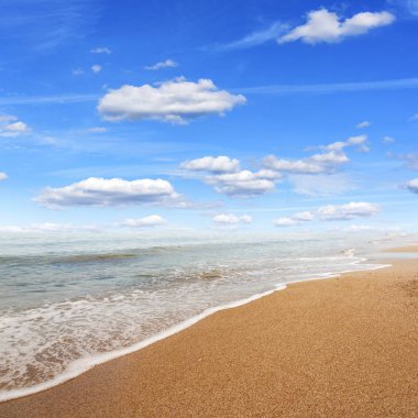 plaj ve tropikal deniz.