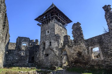 Öğleden sonra Nevitsky Kalesi. Karpatlar eski bir kale kalıntıları.