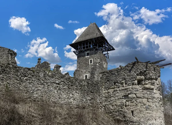 Castillo Nevitsky por la tarde. Ruinas de un antiguo castillo en los Cárpatos . — Foto de Stock