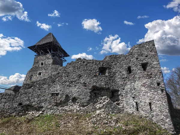 Castillo Nevitsky por la tarde. Ruinas de un antiguo castillo en los Cárpatos . — Foto de Stock