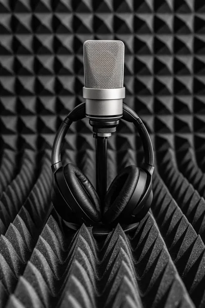 Профессиональный конденсатор микрофон изолирован на белом . — стоковое фото