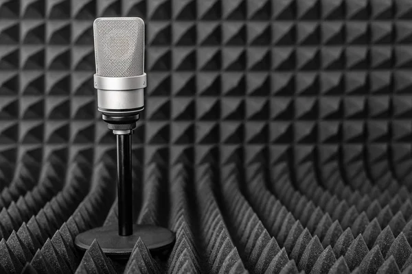 Microfone condensador profissional isolado em branco . — Fotografia de Stock