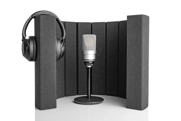 Professionele microfoon en een microfoonscherm voor opname in de studio en Broadcast. — Stockfoto